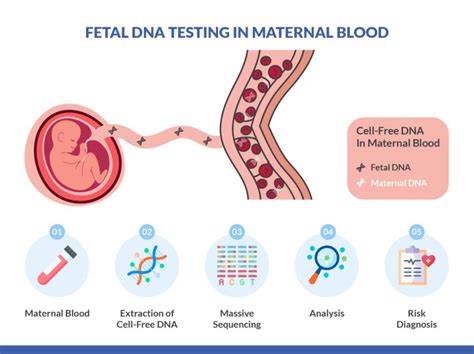 Image result for Cell-Free DNA Testing