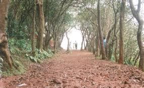 SushilOjhaRetiredManagerSBI: Matheran Hill station near Mumbai
