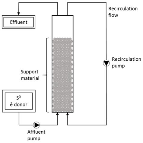Biogenic Hydrogen Sulfide Production Using Elemental Sulfur and Low ...
