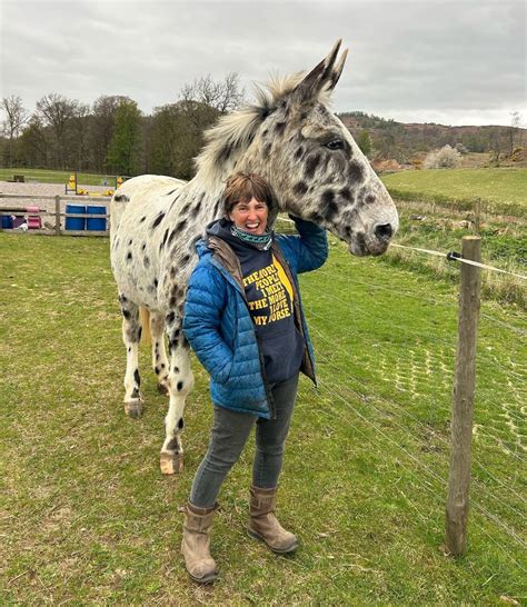 Meet Milton the 16hh spotted mule who’s ridden tackless, plays football ...