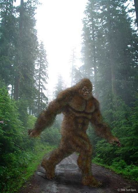 Image result for Bigfoot Found Alive