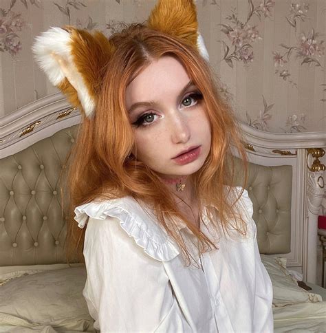 Image result for Fox in Python Code