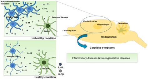 IJMS | Special Issue : Inflammasome