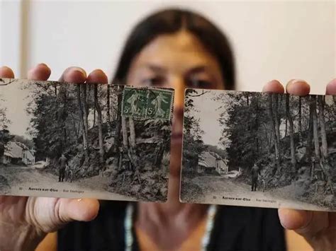 Researcher pinpoints location of Van Gogh's last painting - Hidden in ...