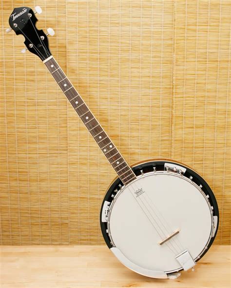 How to String a 4 String Banjo 的图像结果