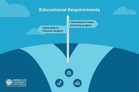 Thoracic Surgeon vs Cardiothoracic Surgeon: Key Differences - American ...