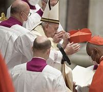 Image result for Pope creates 21 new cardinals