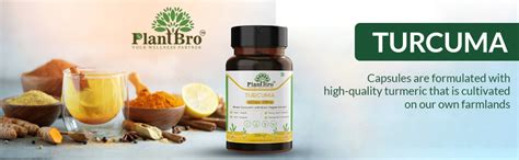 PlantBro Turcuma – Premium Nano Curcumin Extract with Turmeric & Black ...