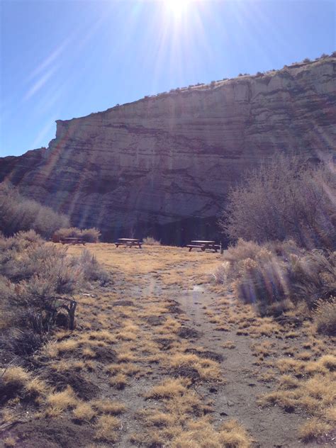 Terms & Conditions | Walker River Resort