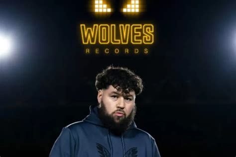 Image result for Wolves Cancion Cover