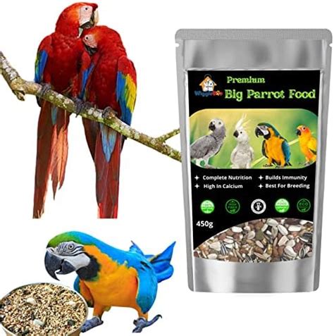 Buy WiggleBoo Bird Food for Big Parrots, 450gm | Mix Seeds |Big ...