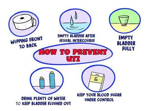 Urinary Tract Infection (UTI) Prevention -  Urinary Tract Infection (UTI) - Urology Channel