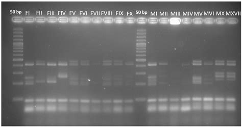 A Microtiter Plate Assay as a Reliable Method to Assure the ...