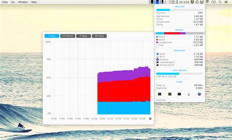 Image result for ISTAT Pro