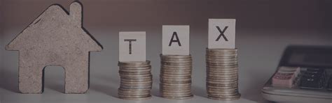 ELSS and PPF in the New Tax Regime: Should You Continue?