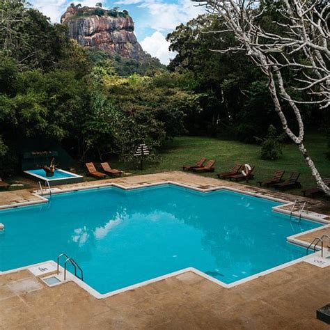 𝗧𝗛𝗘 𝟭𝟬 𝗕𝗘𝗦𝗧 Hotels in Sigiriya of 2025 (with Prices)