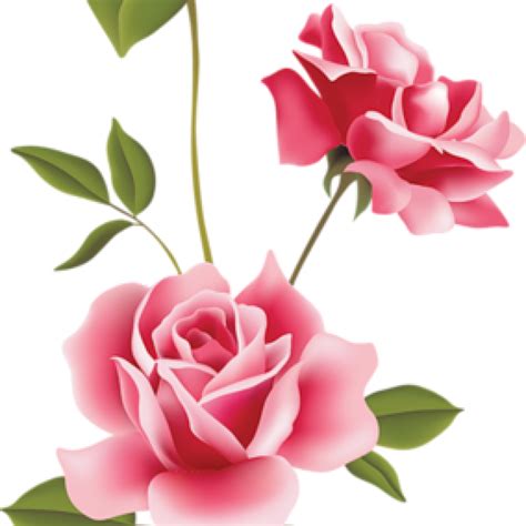 Download Pink Rose Clipart Pink Roses Clip Art Clip Art Spring - Pink ...
