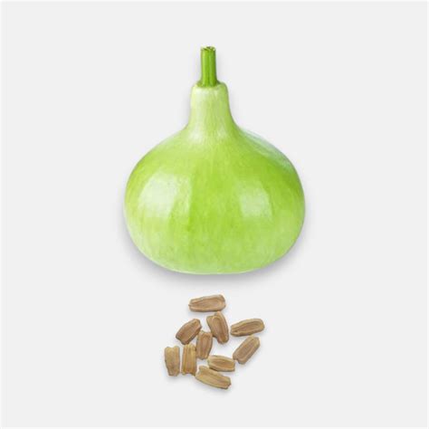Buy Bottle Gourd Round Seeds 5gm Online at Best Price