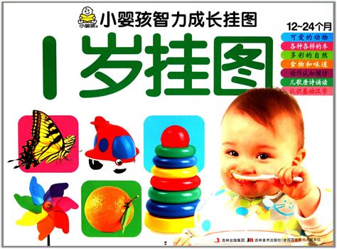 Amazon.in: Buy 1-year-old Wall Charts - A Little Baby Intellectual ...