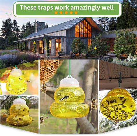 Buy Wasp Trap, Yellow Jacket Trap Outdoor Hanging, Wasp Repellent ...