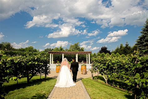 Weddings | Birch Wood Vineyards