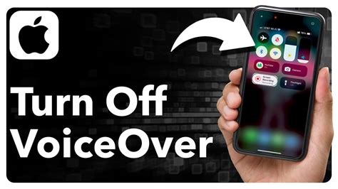 Image result for Remove Voice Over From iPhone