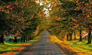 Image result for Countryside Nature Wallpaper
