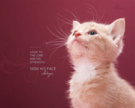 Cute Bible Verses Wallpaper Background | Download HD Christmas Bible ...