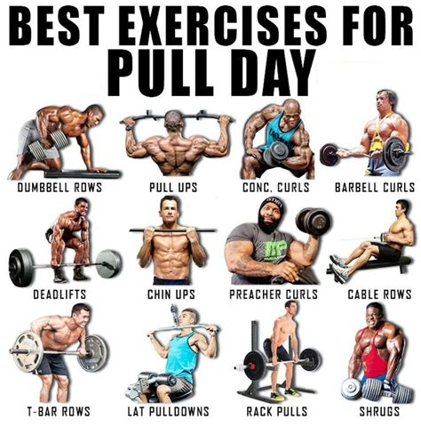 Pull Day Exercises | Pull day workout, Push workout, Weight training ...