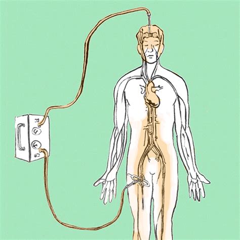 Image result for Embalming Explained