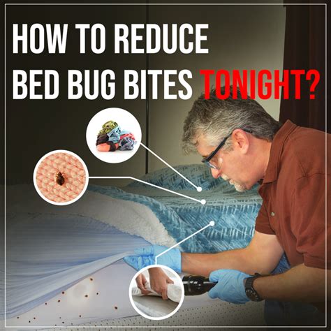 bug bombs for bed bugs Archives - Bed Bug Guide