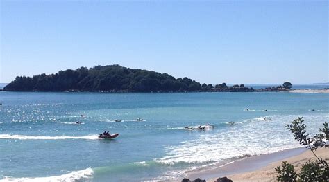 CRAIG & LILY'S PAD IN THE SUNNY PAPAMOA - Lodging Reviews & Photos ...