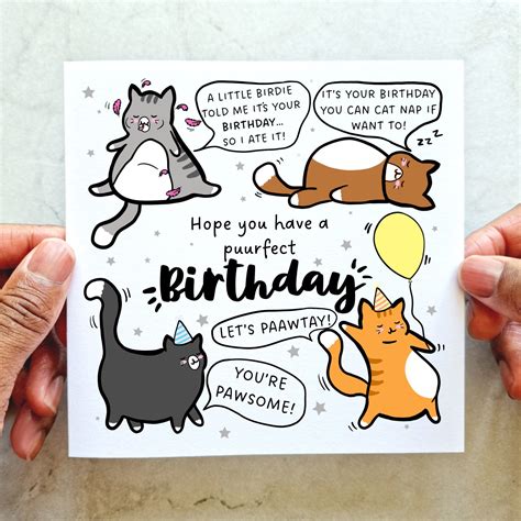 Funny Pun Cat Birthday Card Birthday Card for Cat Lovers Birthday Card ...