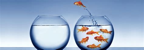 NAHRS Human Resource Solutions - Behavioural, Soft skills, Team ...