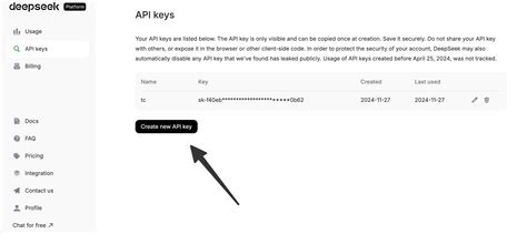 Deepseek API Key in the Code 的图像结果