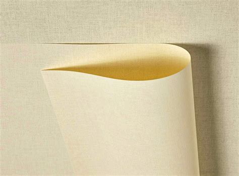 Blake Business A4 297 x 210 mm 120 gsm Paper (61676) Cream Wove - Pack ...