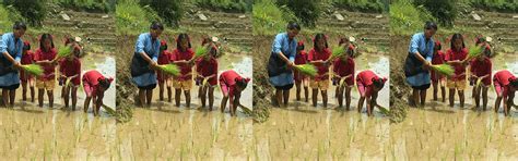 Awake & Shine Primary Schools - Experiential Projects