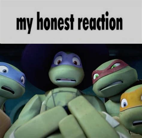 Ninja Turtle Memes