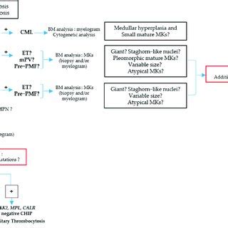 Image result for CMLL 9 Algorithims