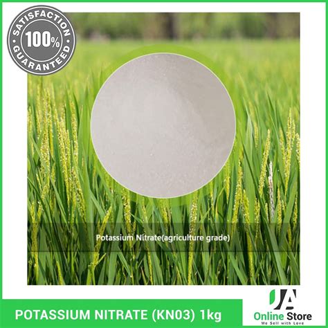 High Potassium Nitrate Fertilizer (KNO3) 1kg | Lazada PH