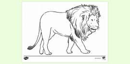 Giraffe Colouring | Colouring Pages for Kids | Twinkl