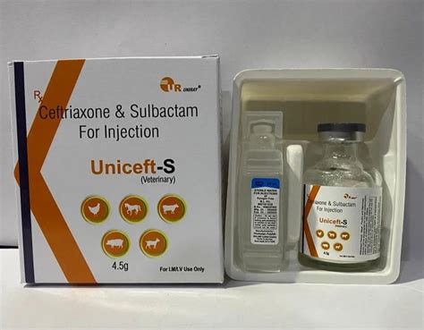 Veterinary Injection - Ceftriaxone and Sulbactam Injection Manufacturer ...