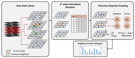 Advancing Pulmonary Nodule Diagnosis by Integrating Engineered and Deep ...