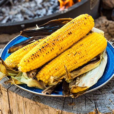 Grilled Corn In Foil Dog