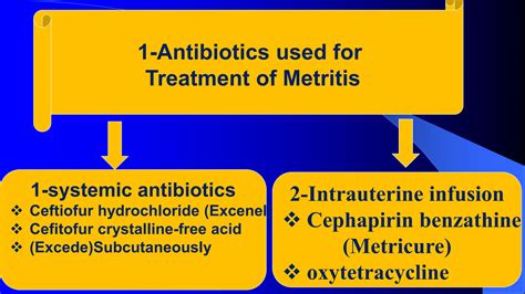 Part 3 Postpartum Metritis in Farm Animals(Causes- Signs and Main Line of Treatment ) Prof Dr ...