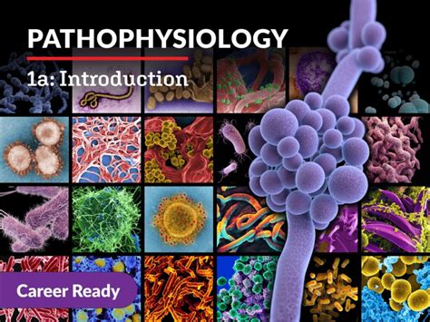 Image result for Free Pathophysiology Course