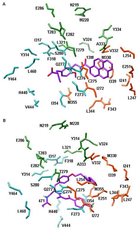 Molecular Recognition of Agonist and Antagonist for Peroxisome ...
