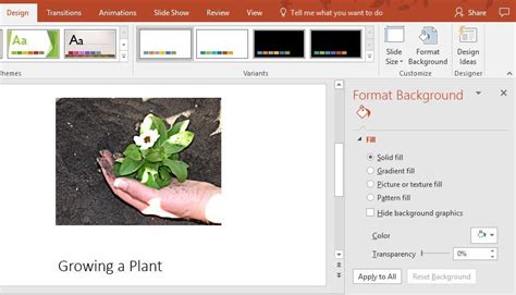 Image result for How to Create Slides in PowerPoint