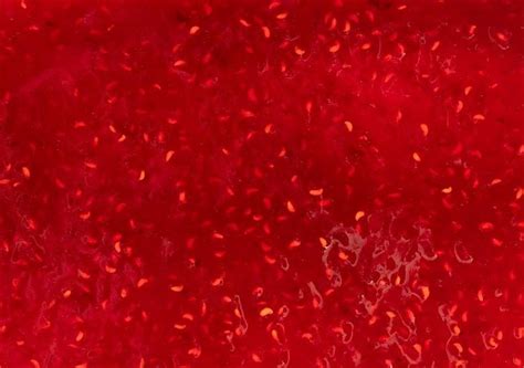 Fete de la nature au jardin - Atelier confiture, Académie du Climat ...