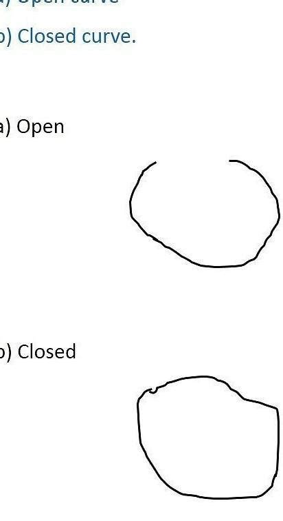 Draw rough diagrams to illustrate th following open curve - Brainly.in